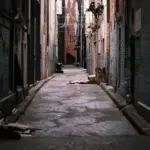 Hvor ofte skal jeg rengøre kattebakken?